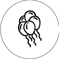 Fondant Embosser Acrylic 65mm - Three Balloons